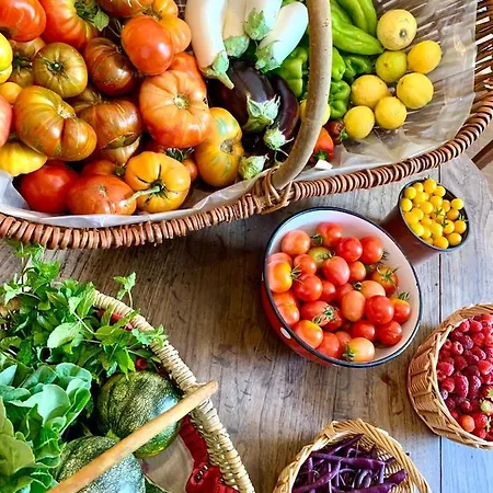 Casa Voltegira Manso