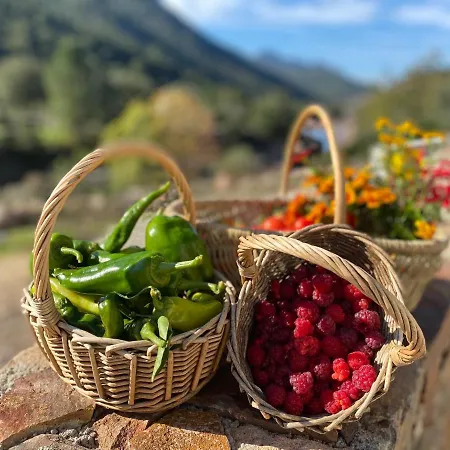 Casa Voltegira 3* Manso