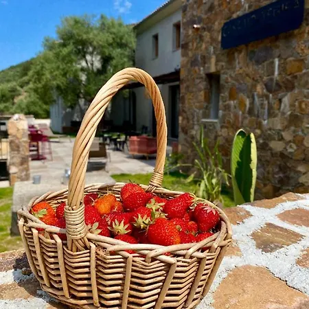 Bed & Breakfast Casa Voltegira Manso