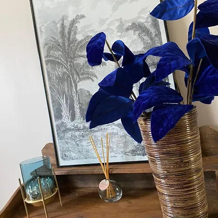 Bed & Breakfast Casa Voltegira Manso