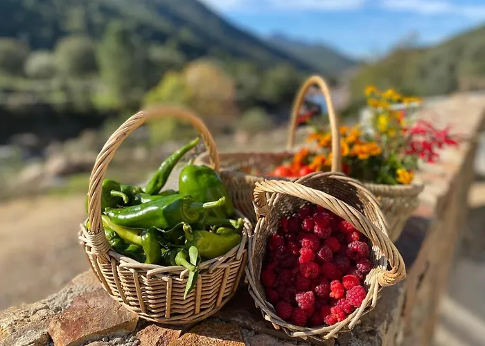 Casa Voltegira 3* Manso