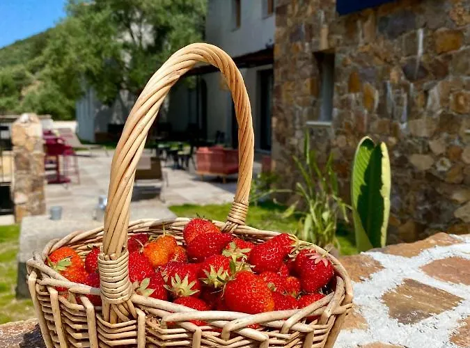 Oda ve Kahvaltı Casa Voltegira Manso